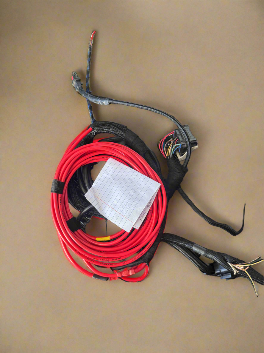 Standalone Barra Loom without Fuse Box | BA BF FG Barra Wiring Harness