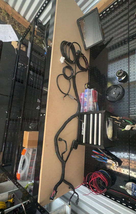 Standalone Barra Loom without Fuse Box | BA BF FG Barra Wiring Harness