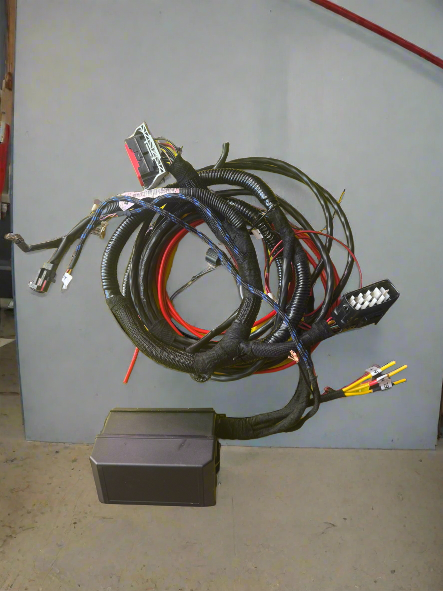 Standalone Barra loom with fuse box