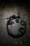 Standalone Barra Loom without Fuse Box | BA BF FG Barra Wiring Harness
