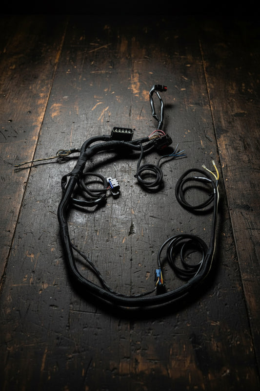 Custom Barra conversion loom by Greens Barra Solutions